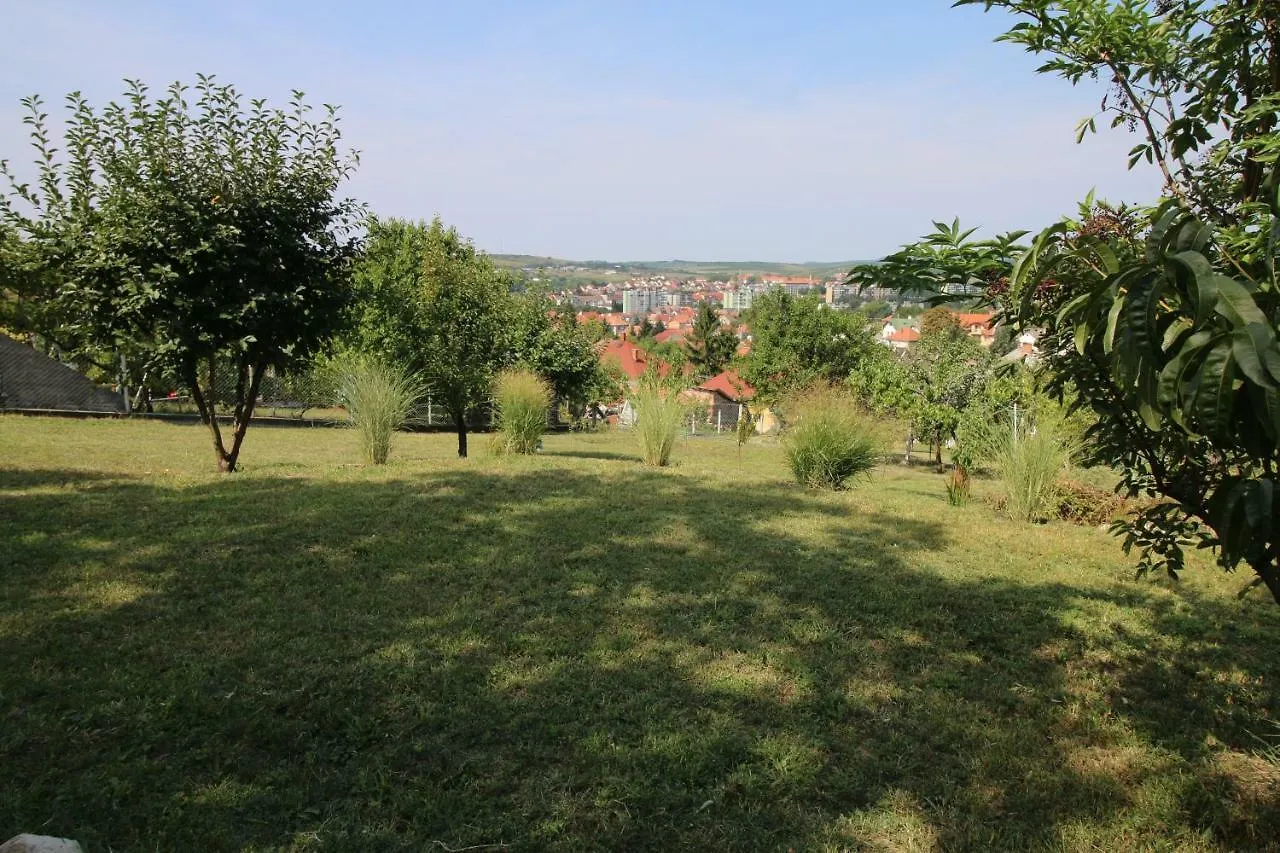 Szent Ivan Apartman Eger Apartament